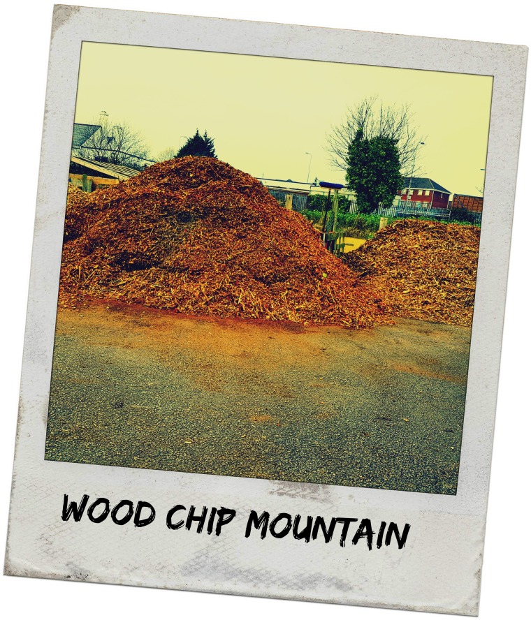 wood-chip-mountain