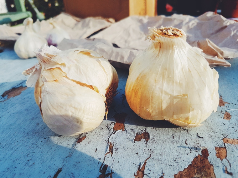 Garlic provence wight
