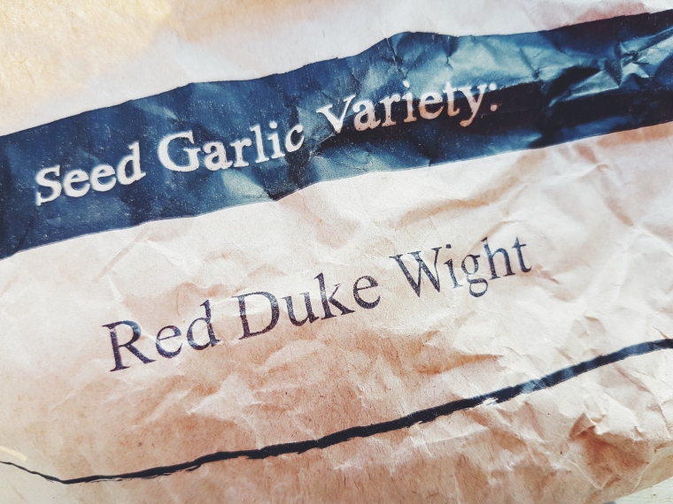 Garlic Red Duke