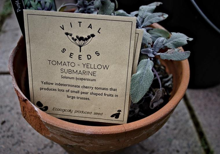 Tomato Seed packet